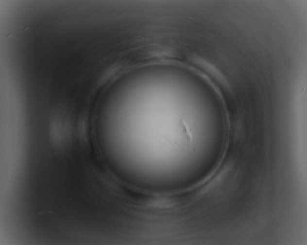 X0000101481162200807071458