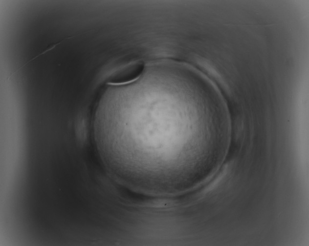 X0000101481163200807071458