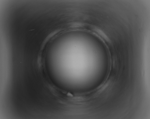 X0000101481164200807071458