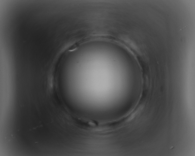 X0000101481165200807071458