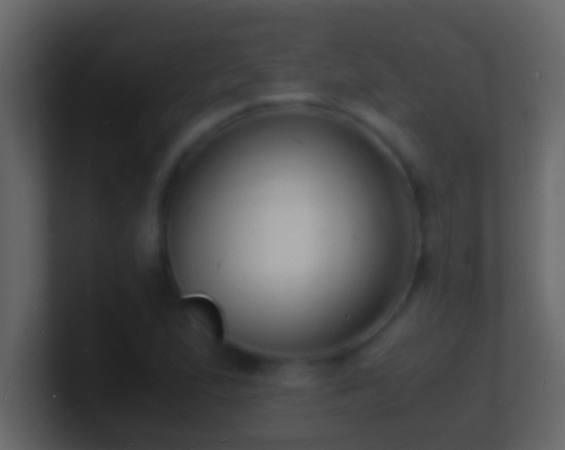 X0000101481167200807071457