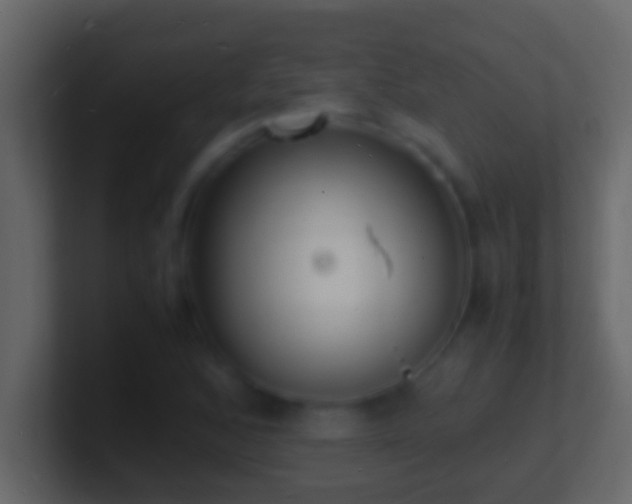 X0000101481168200807071457