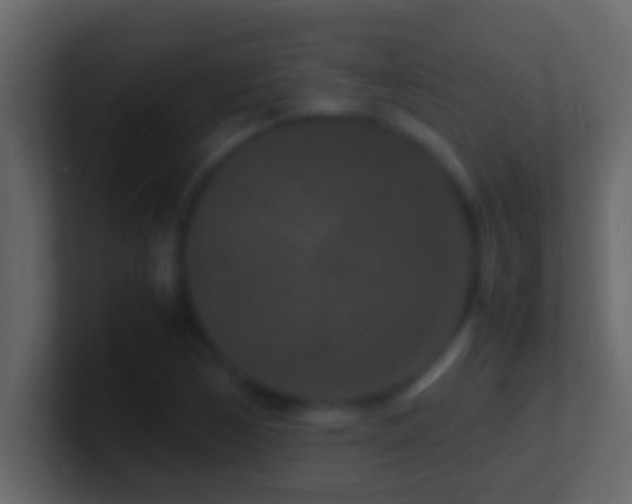 X0000101481170200807071457