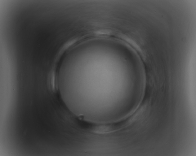 X0000101481171200807071457