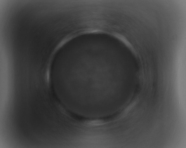 X0000101481173200807071457