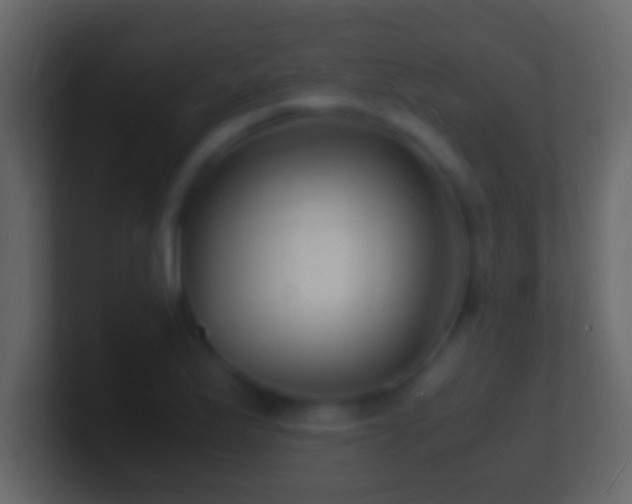 X0000101481175200807071457