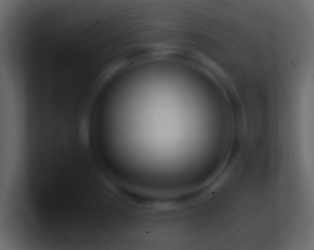 X0000101481177200807071457