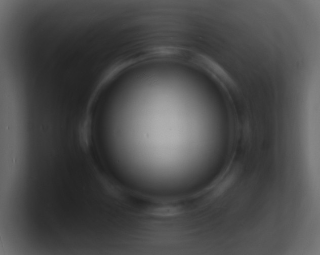 X0000101481178200807071457