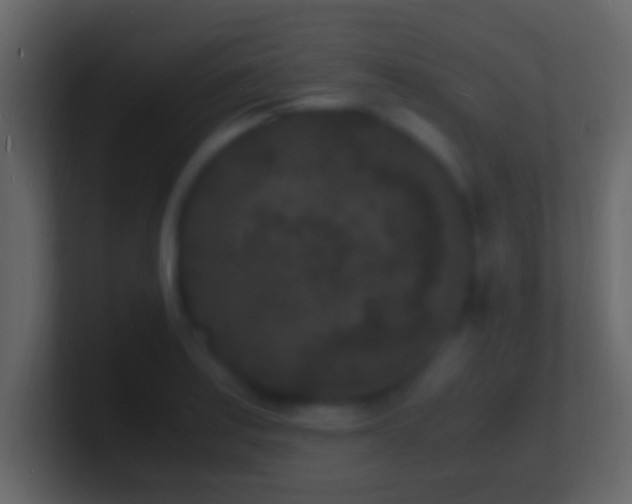 X0000101481179200807071457