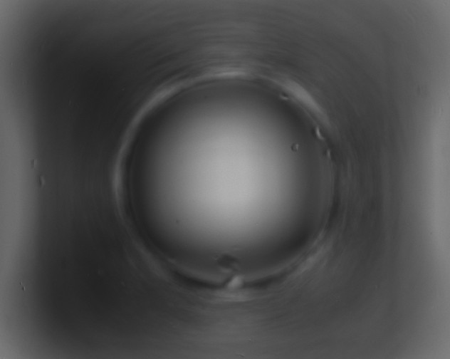 X0000101481181200807071457