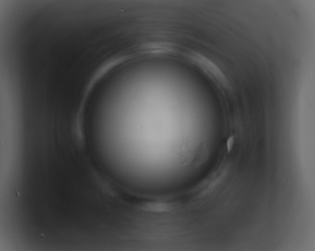 X0000101481182200807071457