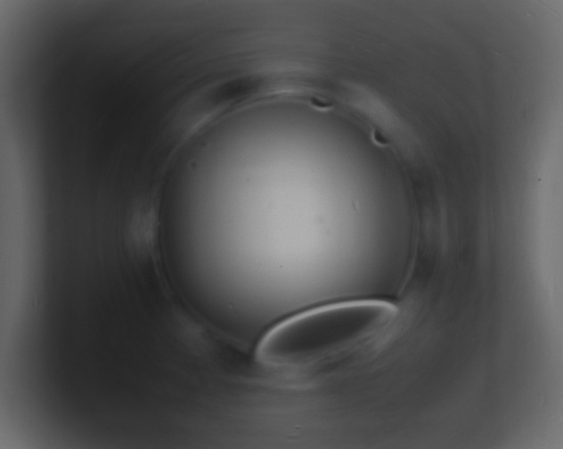 X0000101481185200807071457