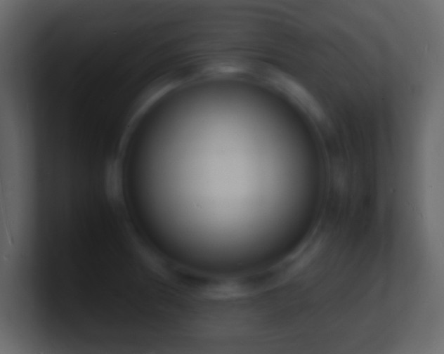 X0000101481186200807071457