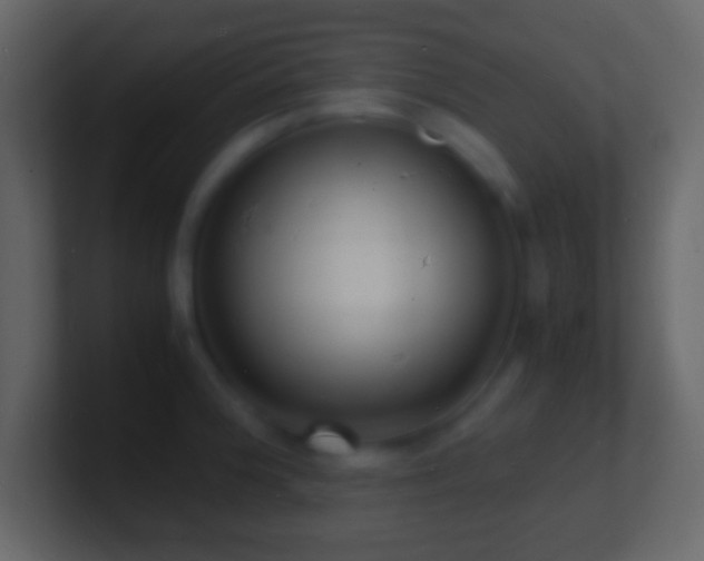 X0000101481188200807071457