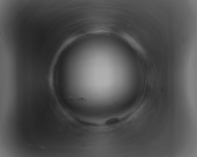 X0000101481189200807071457