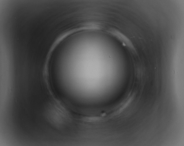 X0000101481192200807071457