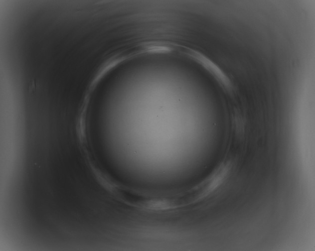 X0000101481194200807071457