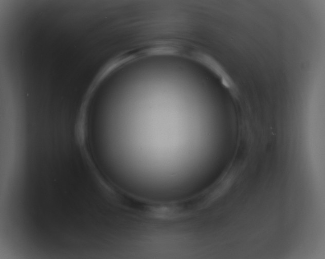 X0000101481195200807071457