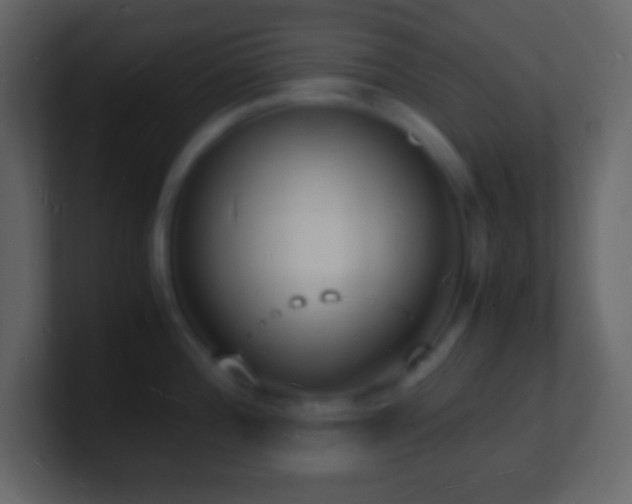 X0000101481196200807071457