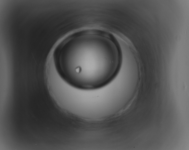X0000101481200200807071457