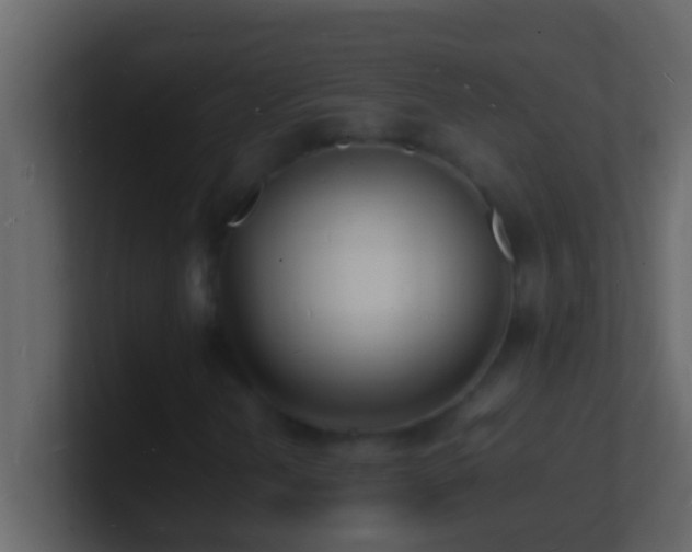 X0000101481202200807071456