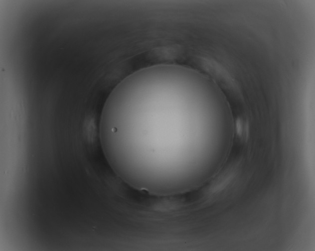 X0000101481203200807071456