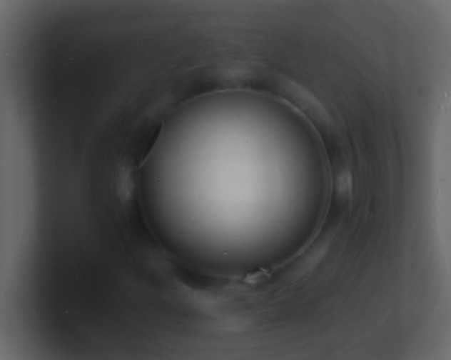 X0000101481204200807071456