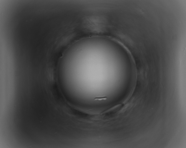 X0000101481205200807071456