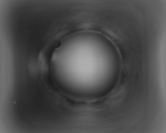 X0000101481206200807071456