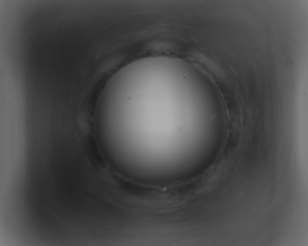 X0000101481207200807071456