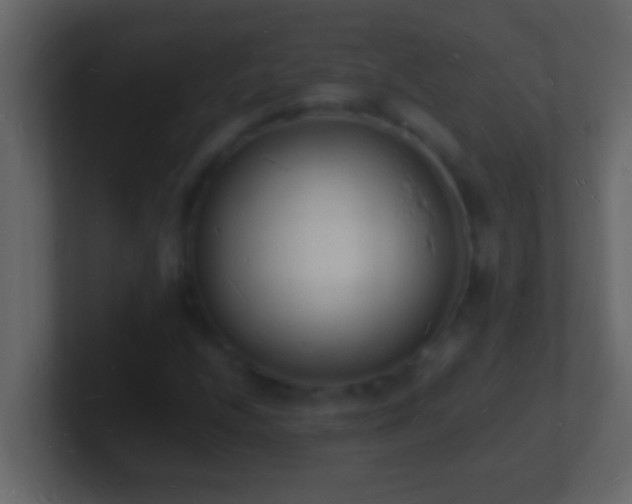 X0000101481208200807071457