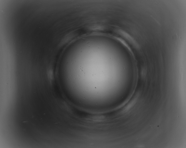X0000101481209200807071457