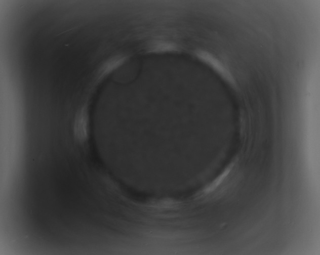 X0000101481213200807071457