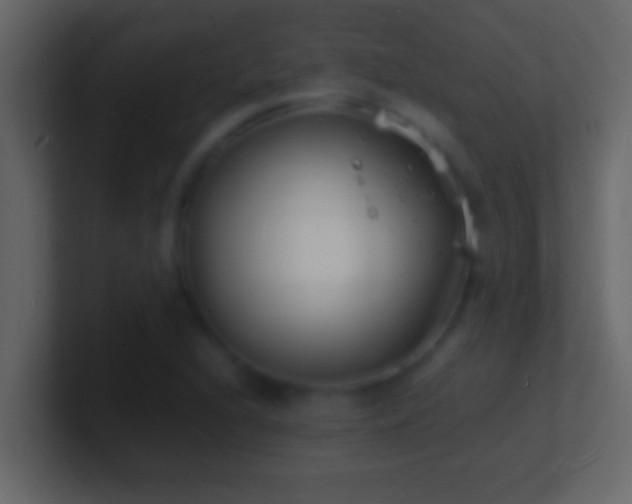 X0000101481216200807071457