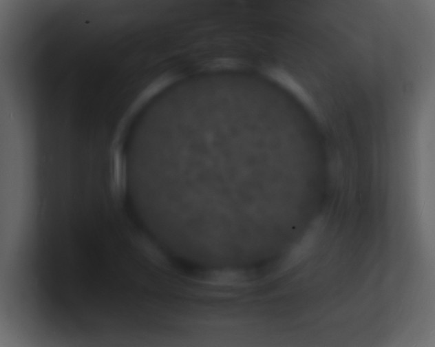 X0000101481219200807071457