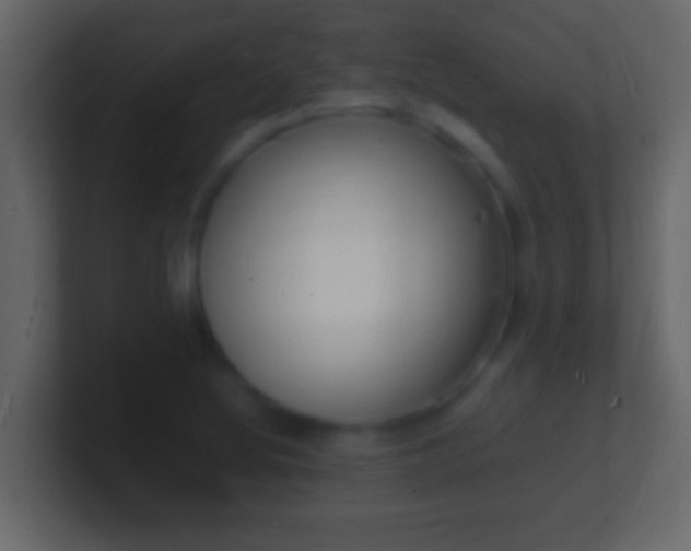 X0000101481220200807071457