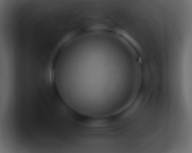 X0000101481221200807071457
