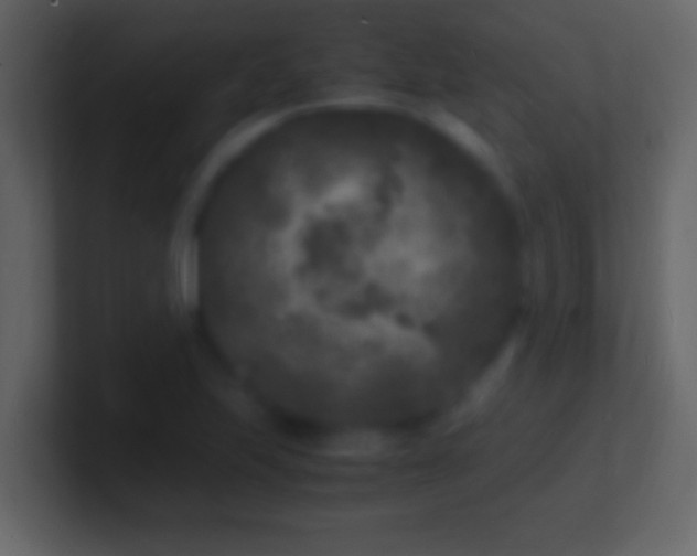 X0000101481223200807071457