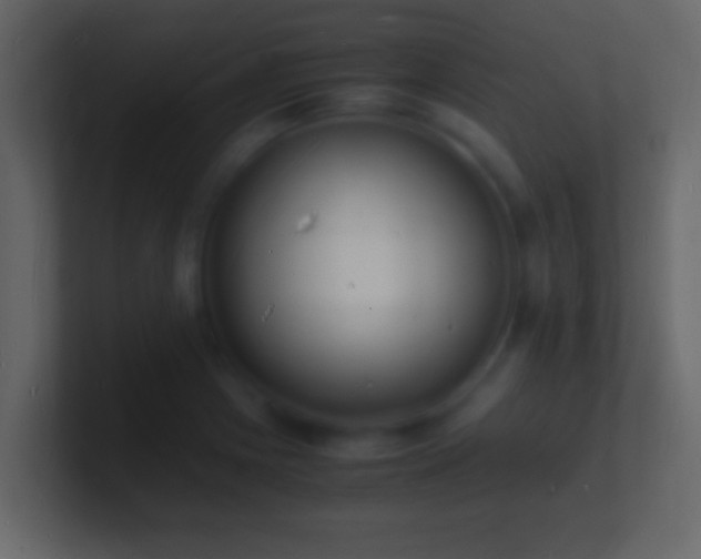 X0000101481225200807071457