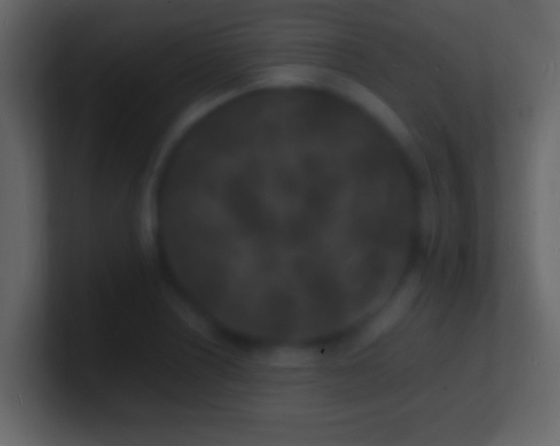 X0000101481226200807071457