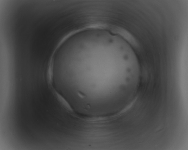 X0000101481228200807071457