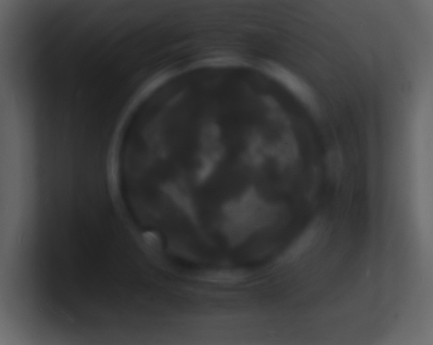 X0000101481229200807071457