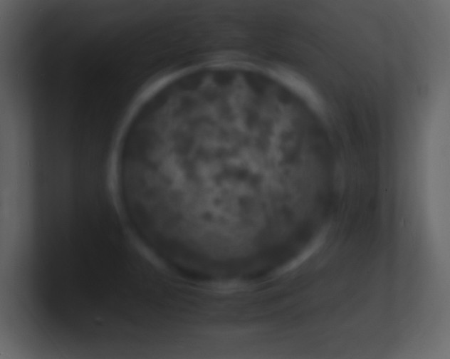 X0000101481231200807071457