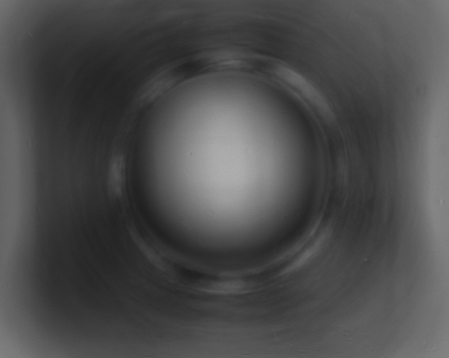 X0000101481233200807071457