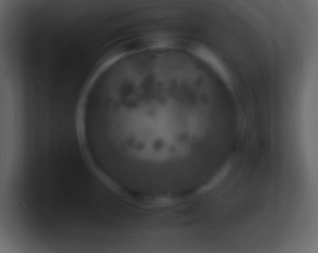 X0000101481235200807071457