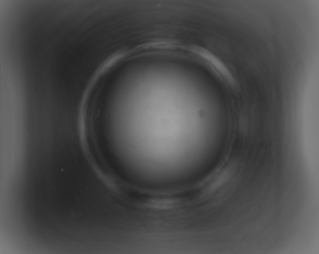 X0000101481237200807071457