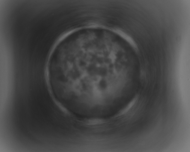 X0000101481239200807071457