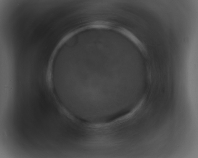 X0000101481240200807071457