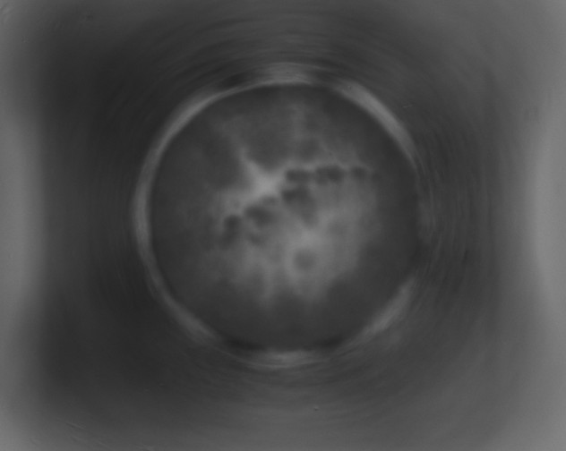 X0000101481243200807071457