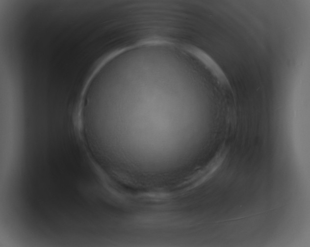 X0000101481244200807071457